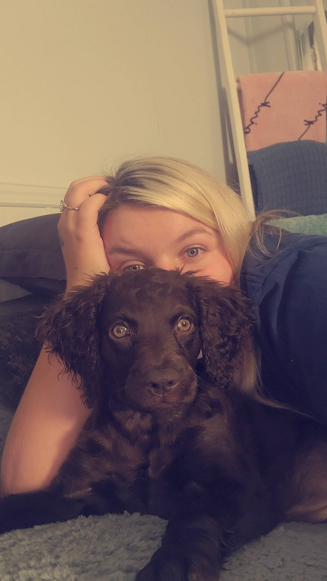 Hazel Ann Frick joined the competition — help win amazing prizes! brown_hair, carnivore, comfort, companion_dog, couch, dog, dog_breed, eyebrow, eyelash, fun, fur, gesture, happy, jaw, long_hair, mouth, selfie, snout, whiskers, working_animal