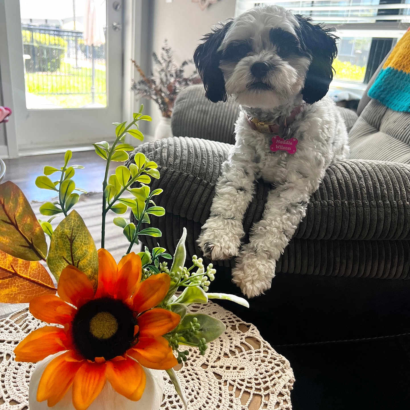 Maddie