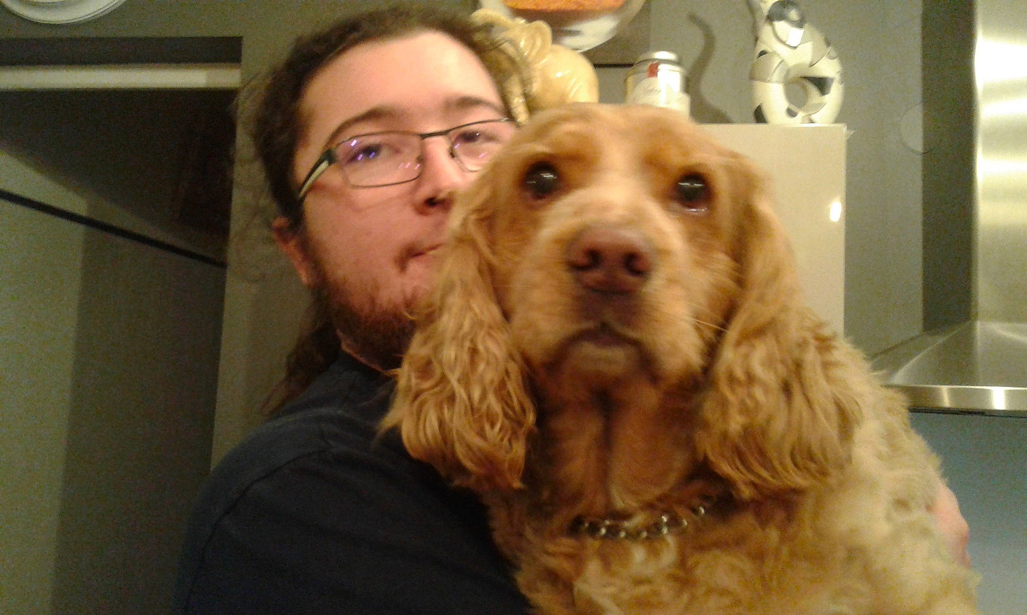 Douy participe au concours pour gagner de l'argent avec cette photo : american_cocker_spaniel, boykin_spaniel, canidae, carnivore, cocker_spaniel, companion_dog, dog, dog_breed, english_cocker_spaniel, field_spaniel, german_spaniel, mammal, person, rare_breed_dog, russian_spaniel, setter, snout, spaniel, sporting_group, sussex_spaniel