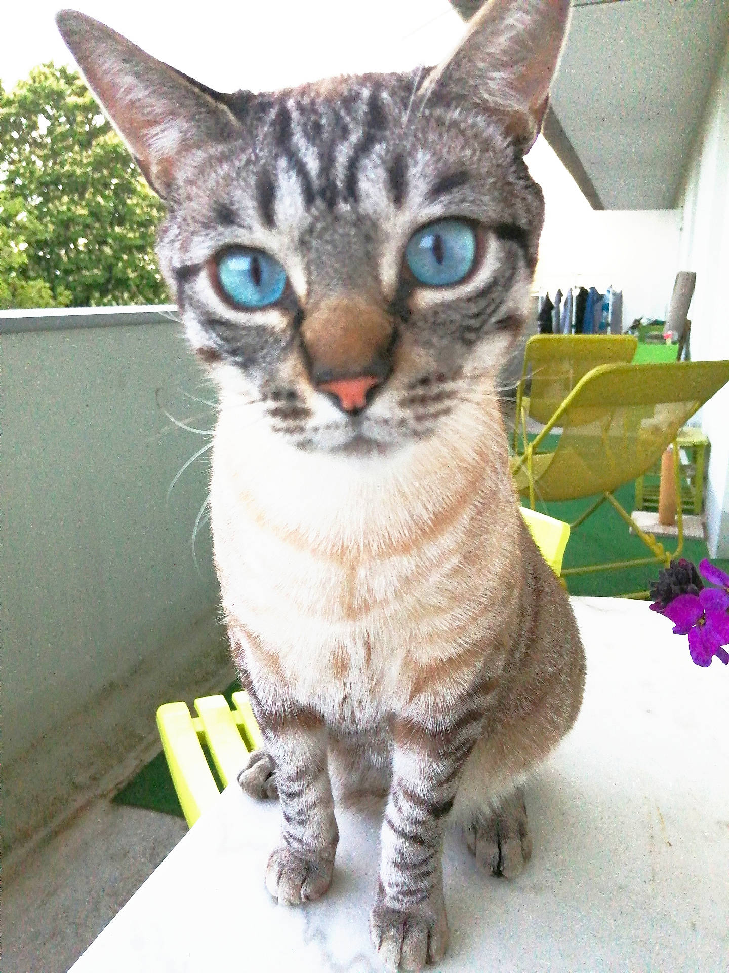 Léo