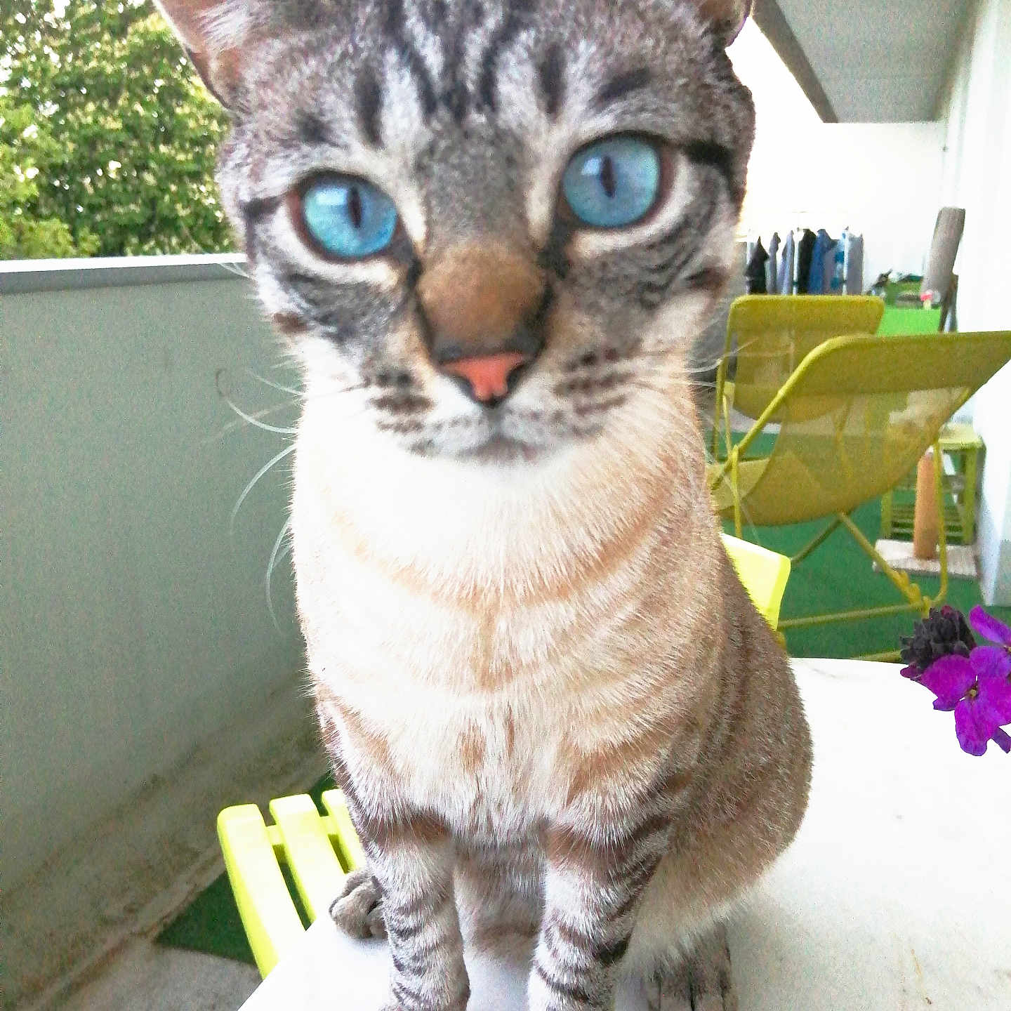 Léo