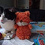 cat, black_and_white, stuffed_toy, orange, table, bottle, water, snack, kiwi, map, indoor, fruit, plastic_bottle, toy, paper, wrapping, food, curious, pet, feline