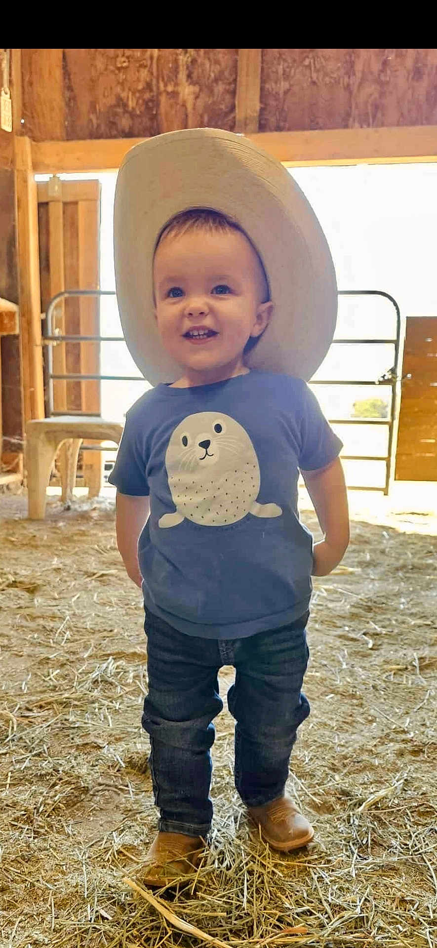Bradley joined the competition — help win amazing prizes! toddler, child, hat, cowboy_hat, jeans, boots, tshirt, seal_graphic, barn, hay, floor, wooden_wall, chair, standing, smiling, indoor, person, cute, happy, casual_clothing