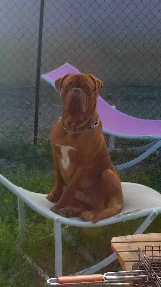 Boomer a rejoint le concours — aidez-le/la à gagner de superbes lots !