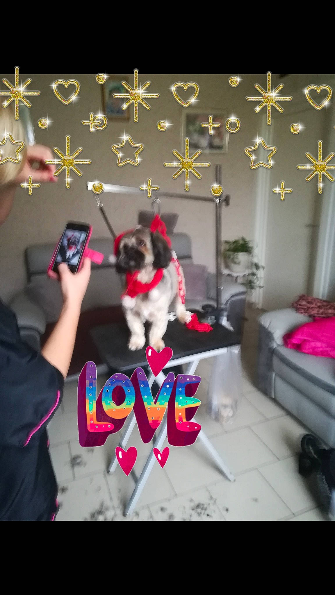 Lucky participe au concours pour gagner de l'argent avec cette photo : black, ceiling, companion_dog, event, flooring, font, fur, gadget, gesture, interior_design, light, magenta, mobile_phone, nail, ornament, room, selfie, snapshot, textile, visual_arts