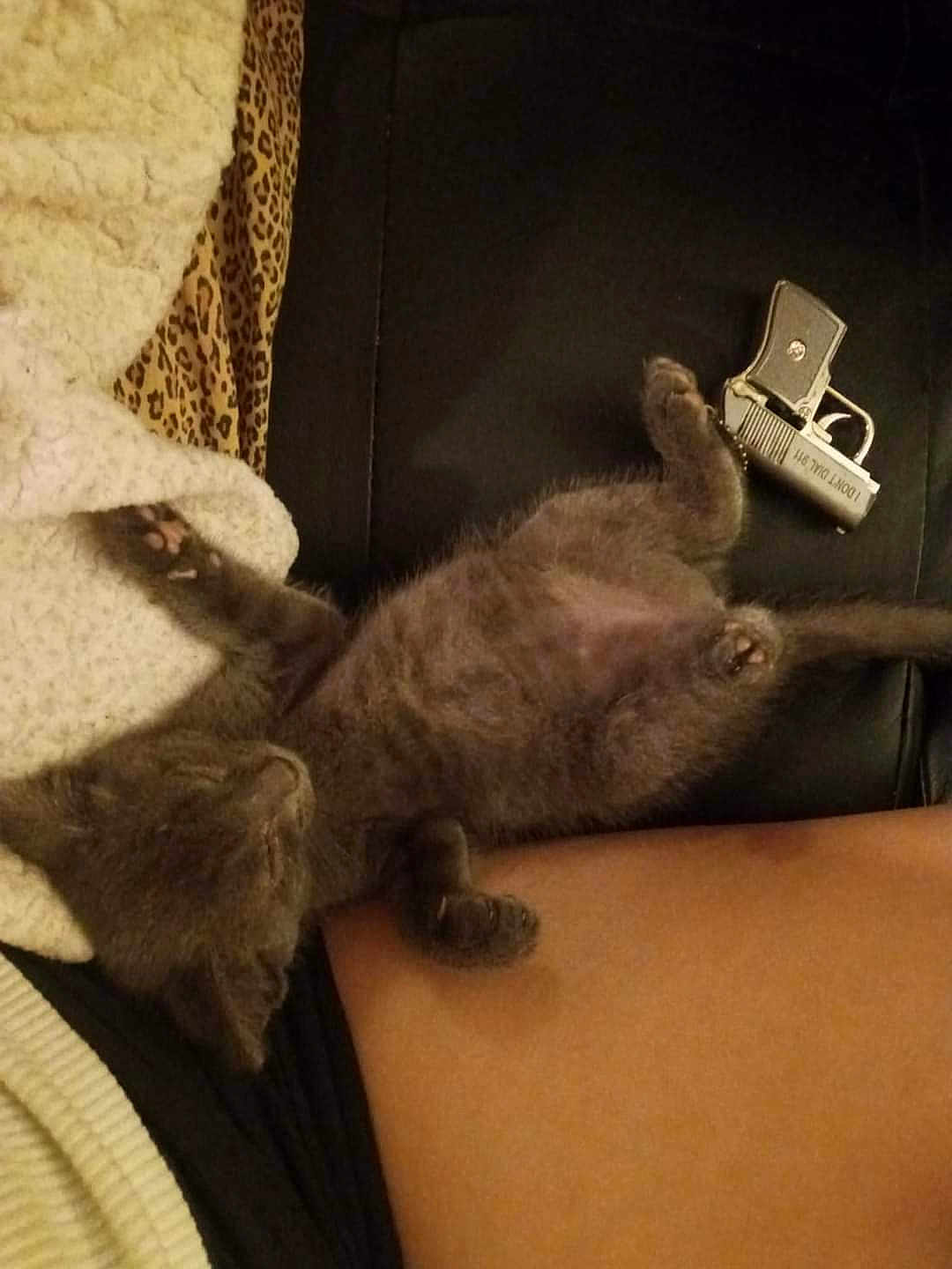 Xena