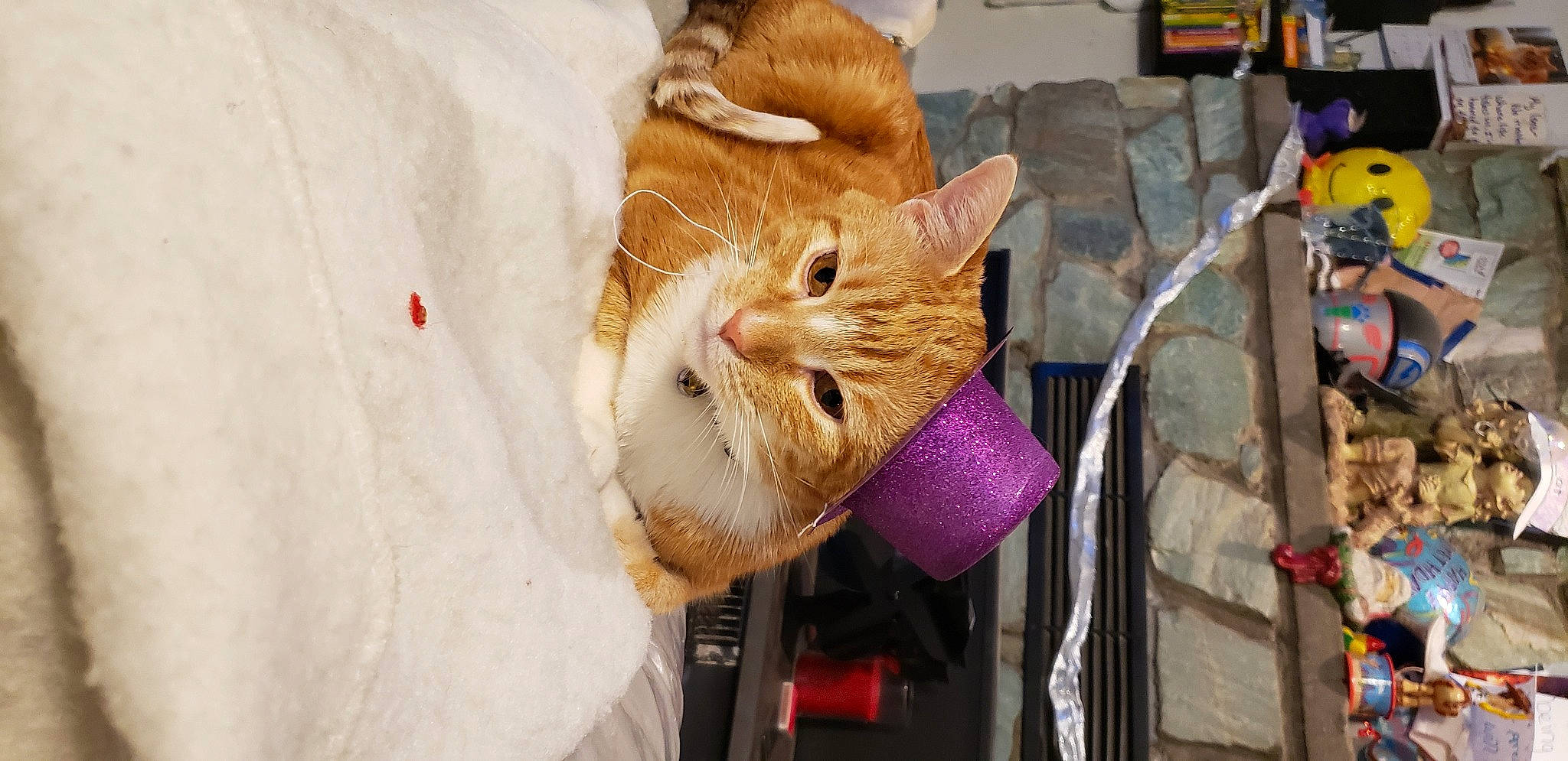 Bones is registered to the contest to win money with this photo: basket, carnivore, cat, claw, collar, comfort, domestic_short_haired_cat, fashion_accessory, fawn, felidae, fur, linens, magenta, small_to_medium_sized_cats, snout, thread, whiskers, wool, wrinkle