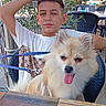 boy, dog, outdoor, cafe, happy, fluffy_dog, leash, table, glass, plant, chair, casual, sunny_day, people, background, smile, pet, young, relaxed, portrait