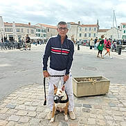 Spajk participe au concours pour gagner de l'argent avec cette photo : man, dog, leash, muzzle, street, cobblestone, people, buildings, outdoor, cloudy_sky, casual_clothing, glasses, plant_pot, walking, urban, sidewalk, public_space, daytime, pedestrians, bicycle
