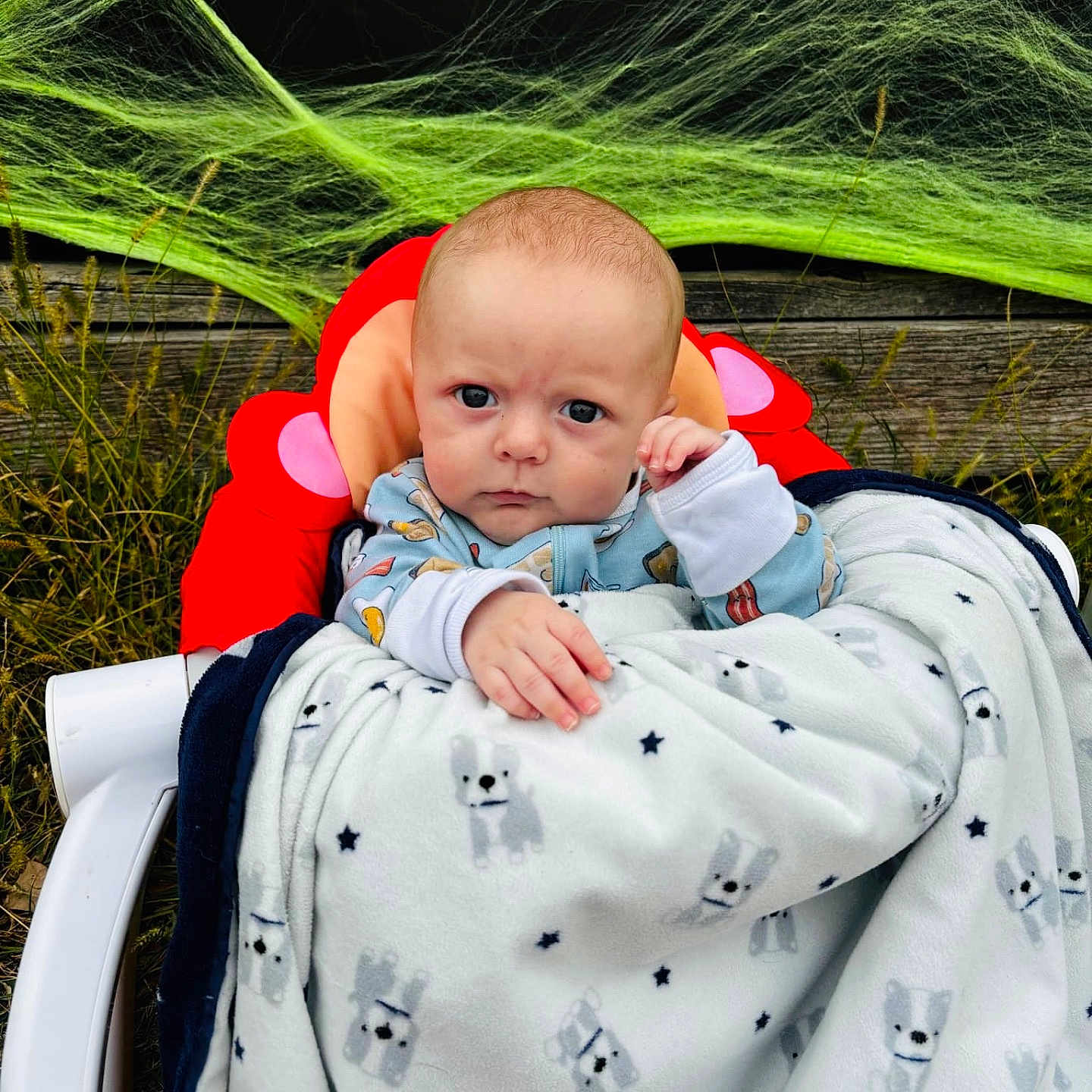 Warren is registered to the contest to win money with this photo: baby, blanket, chair, clothing, coat, cushion, face, furniture, grass, happy, head, homedecor, newborn, pants, person, photography, plant, portrait, sleeping, smile