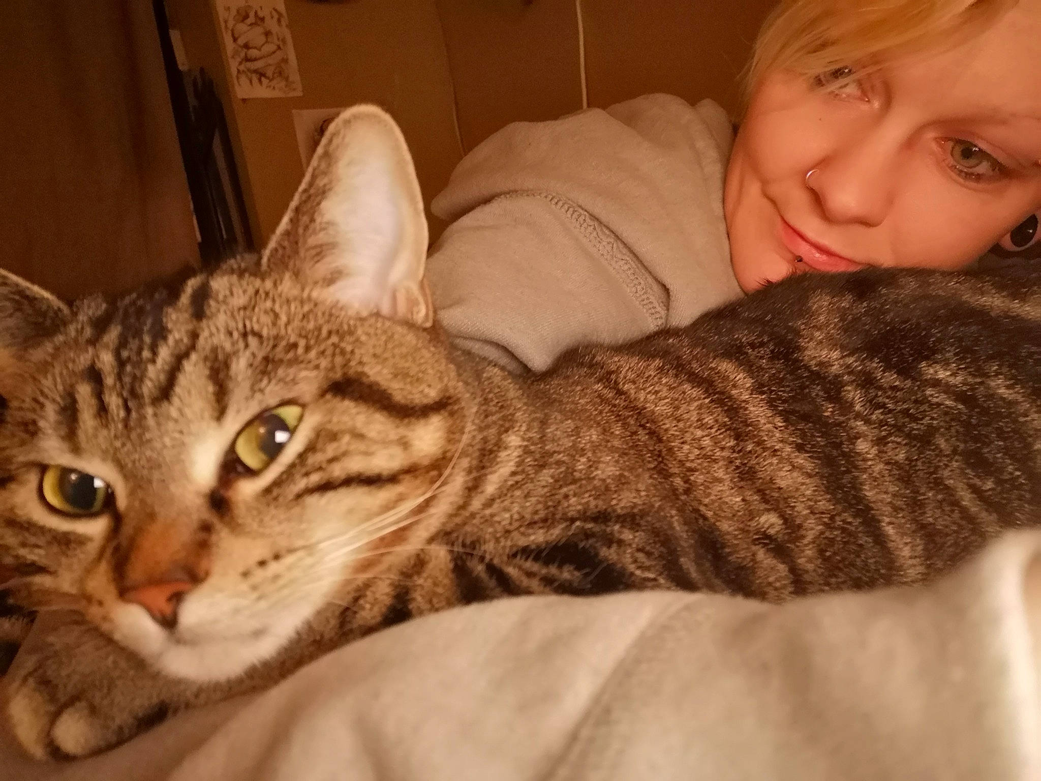 Piper is registered to the contest to win money with this photo: carnivore, cat, comfort, domestic_short_haired_cat, felidae, fur, paw, shipping_box, sitting, sleeve, small_to_medium_sized_cats, smile, snout, terrestrial_animal, toddler, whiskers