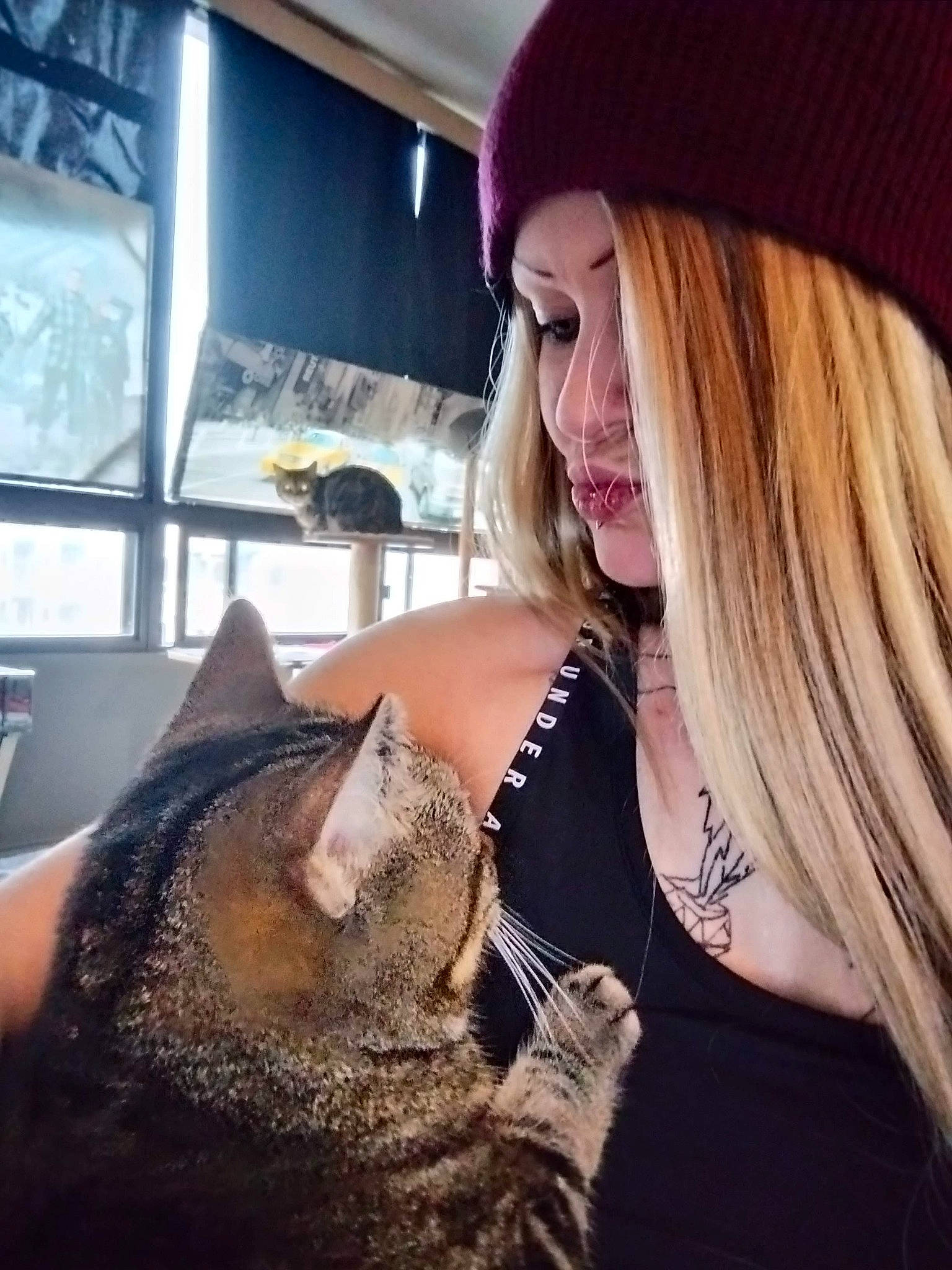 Piper is registered to the contest to win money with this photo: bangs, blond, cap, carnivore, cat, cool, domestic_short_haired_cat, eyewear, facial_hair, fashion, fashion_accessory, felidae, fur, jewellery, knit_cap, sitting, small_to_medium_sized_cats, snout, whiskers, window