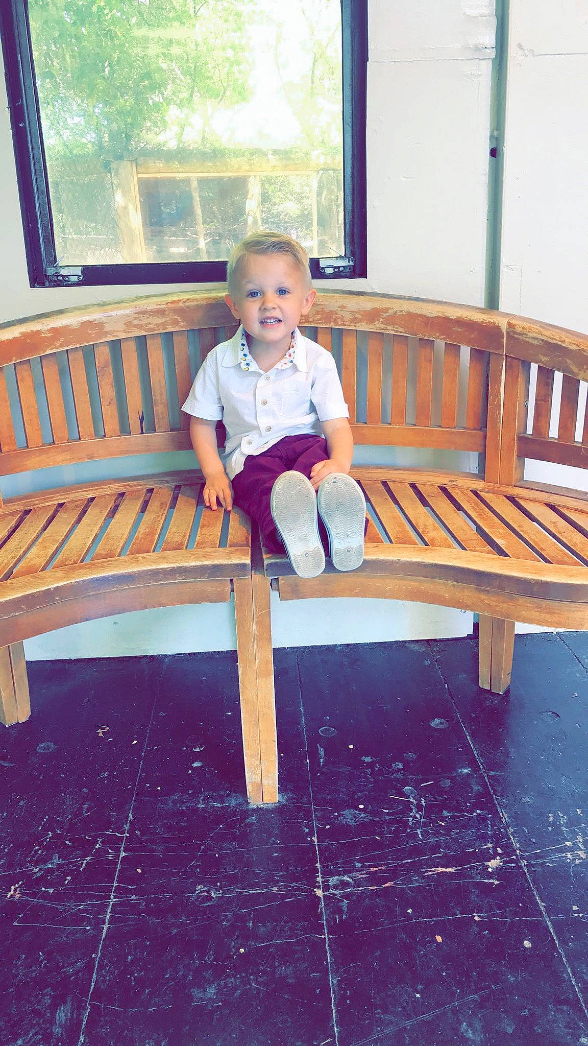 Scottie joined the competition — help win amazing prizes! bench, chair, child, furniture, hardwood, leisure, outdoor_bench, outdoor_furniture, person, play, sitting, table, toddler, wood