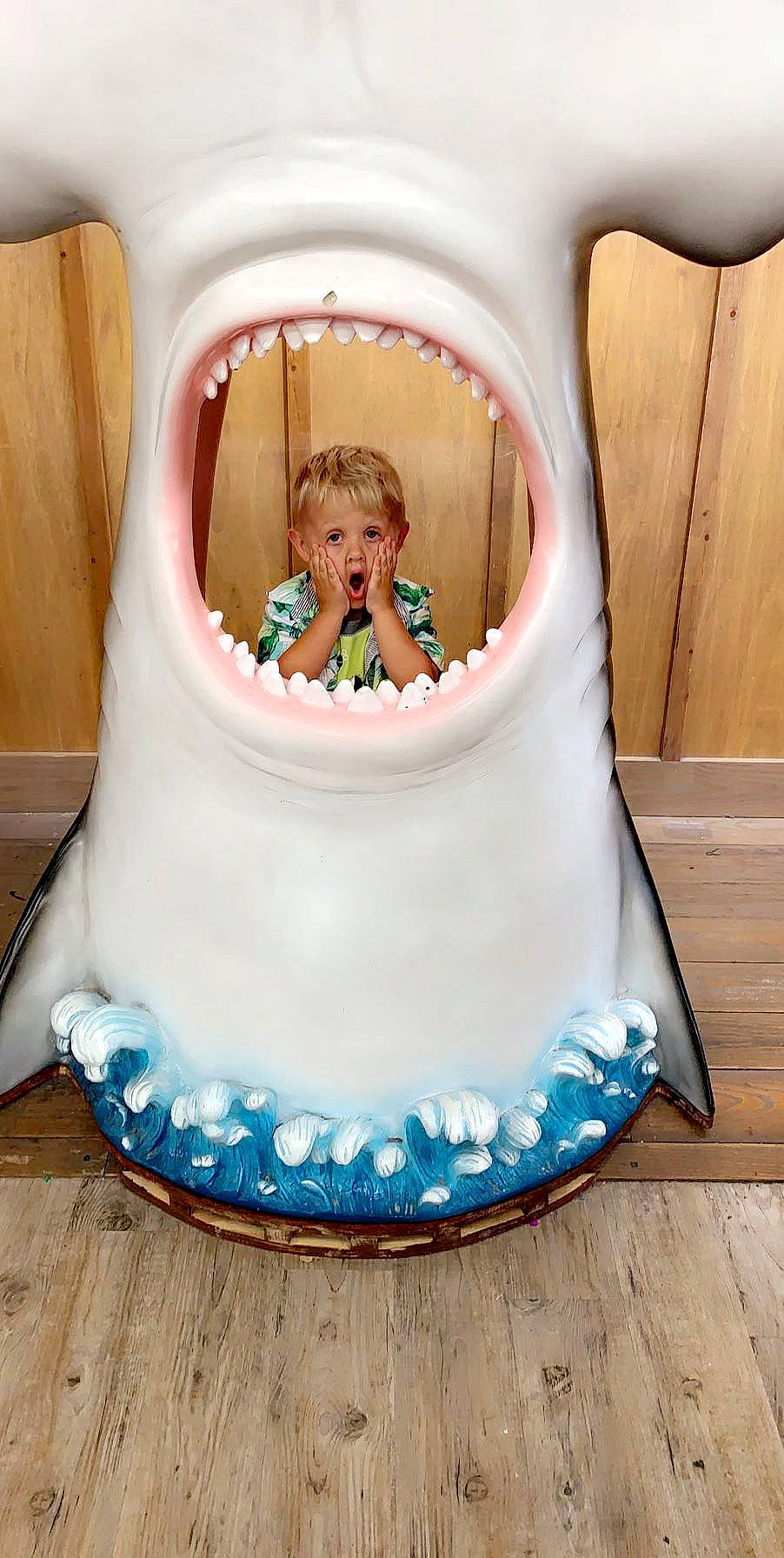 Scottie joined the competition — help win amazing prizes! cake, child, fondant, person, picture_frame, sitting, sugar_paste, surprise, toddler