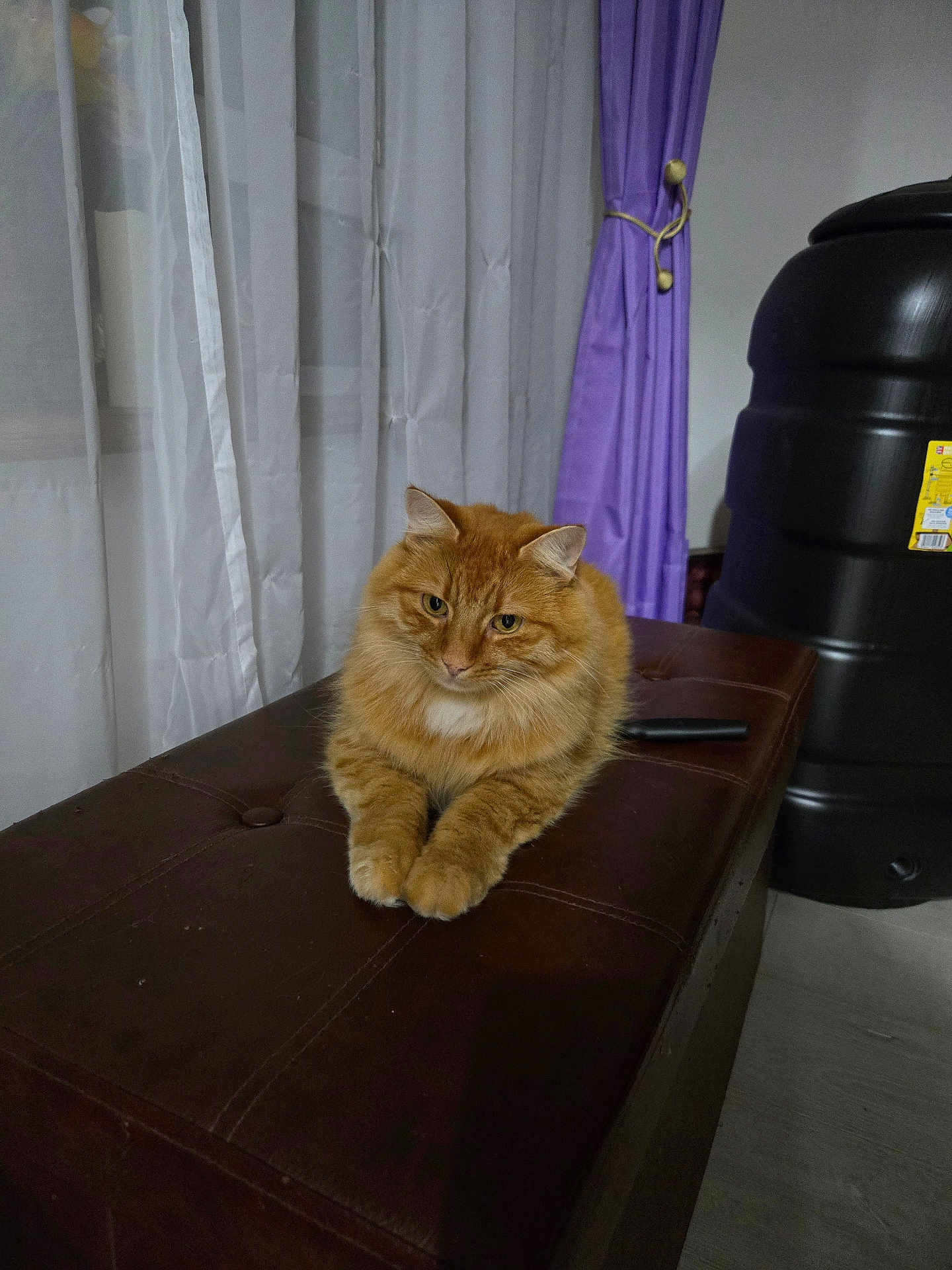 Ghitzu
