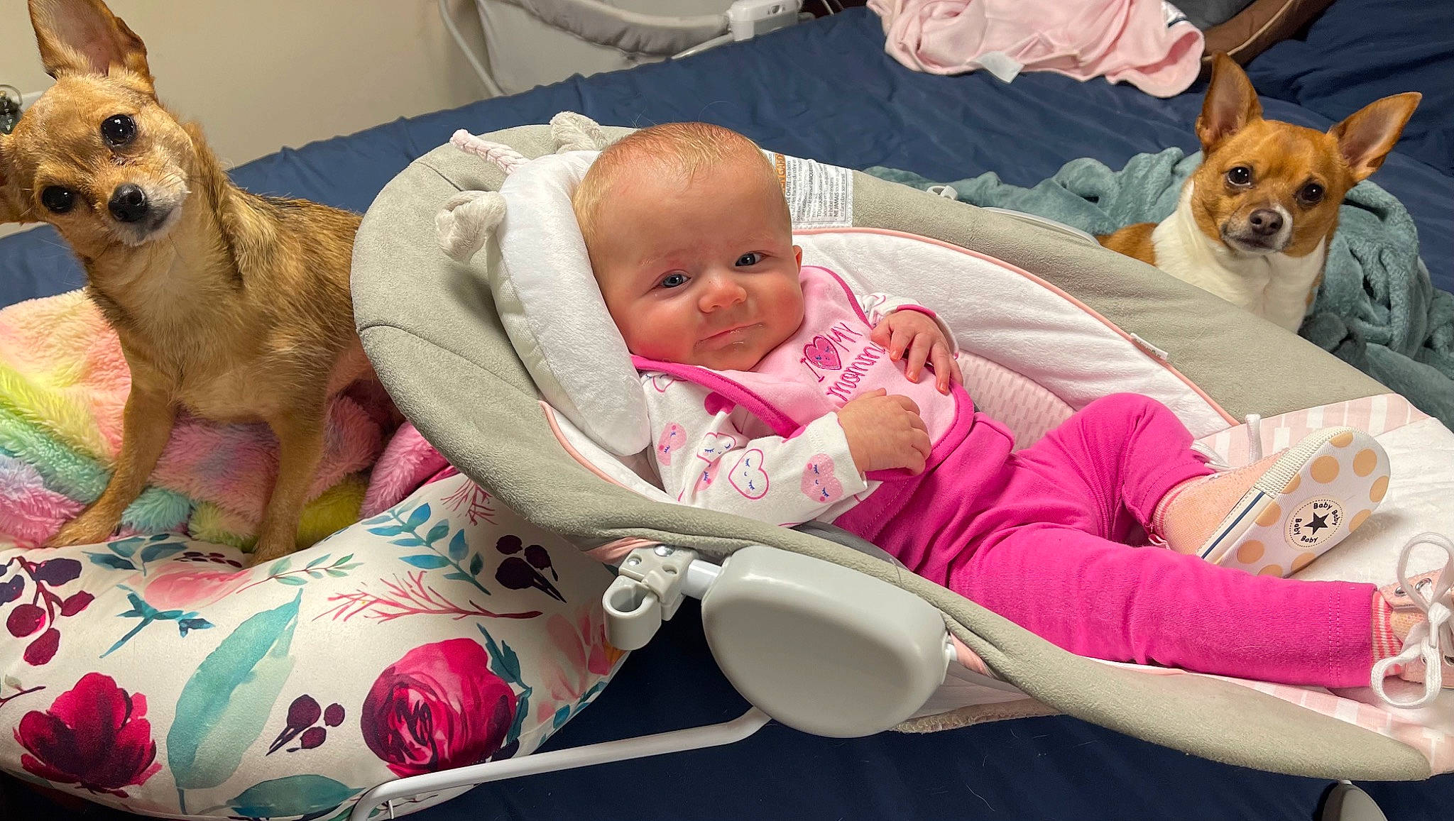 Emma joined the competition — help win amazing prizes! baby, baby_products, baby_safety, baby_sleeping, baby_toddler_clothing, carnivore, cheek, child, comfort, companion_dog, dog, dog_breed, fawn, fur, lap, linens, person, room, sitting, skin