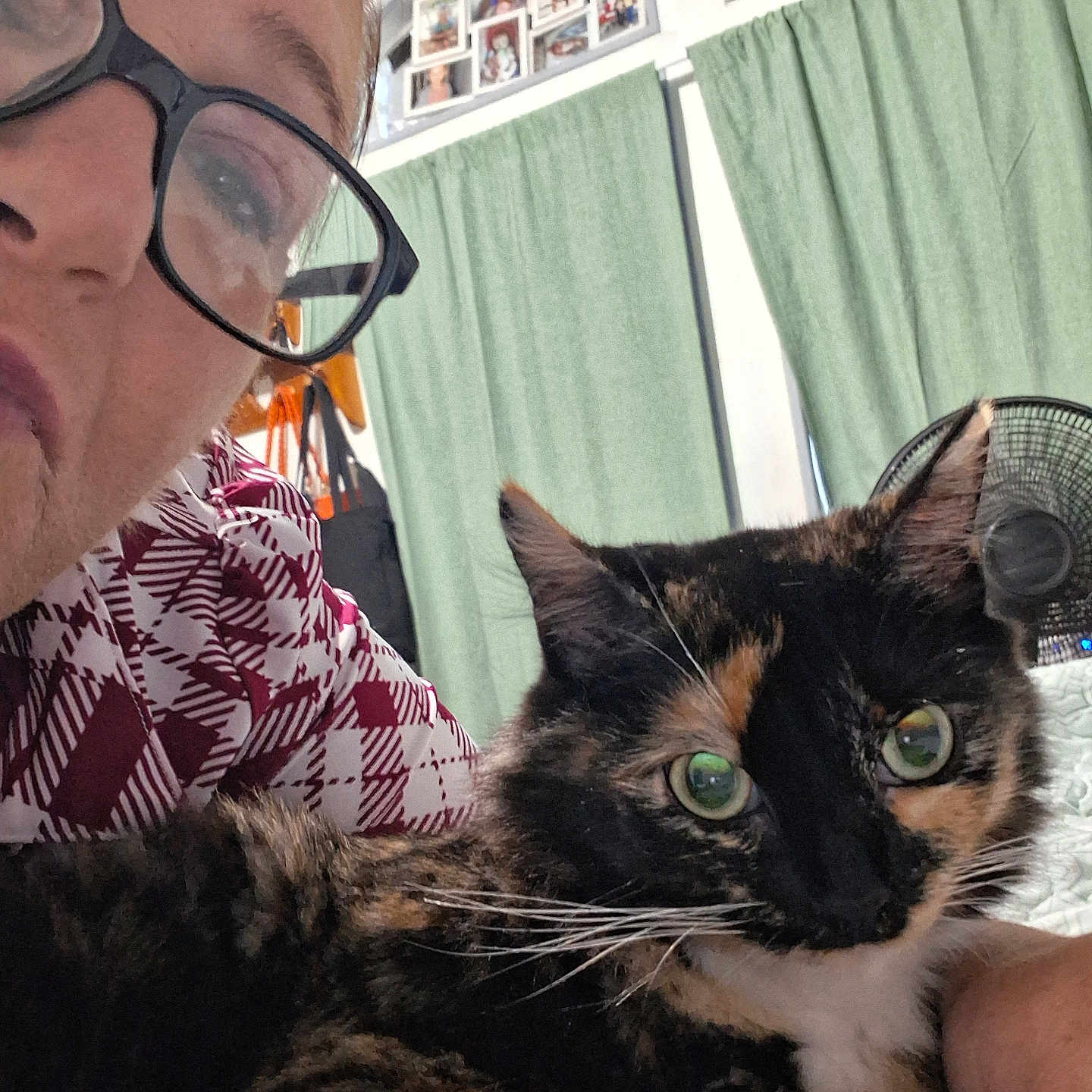 Callie
