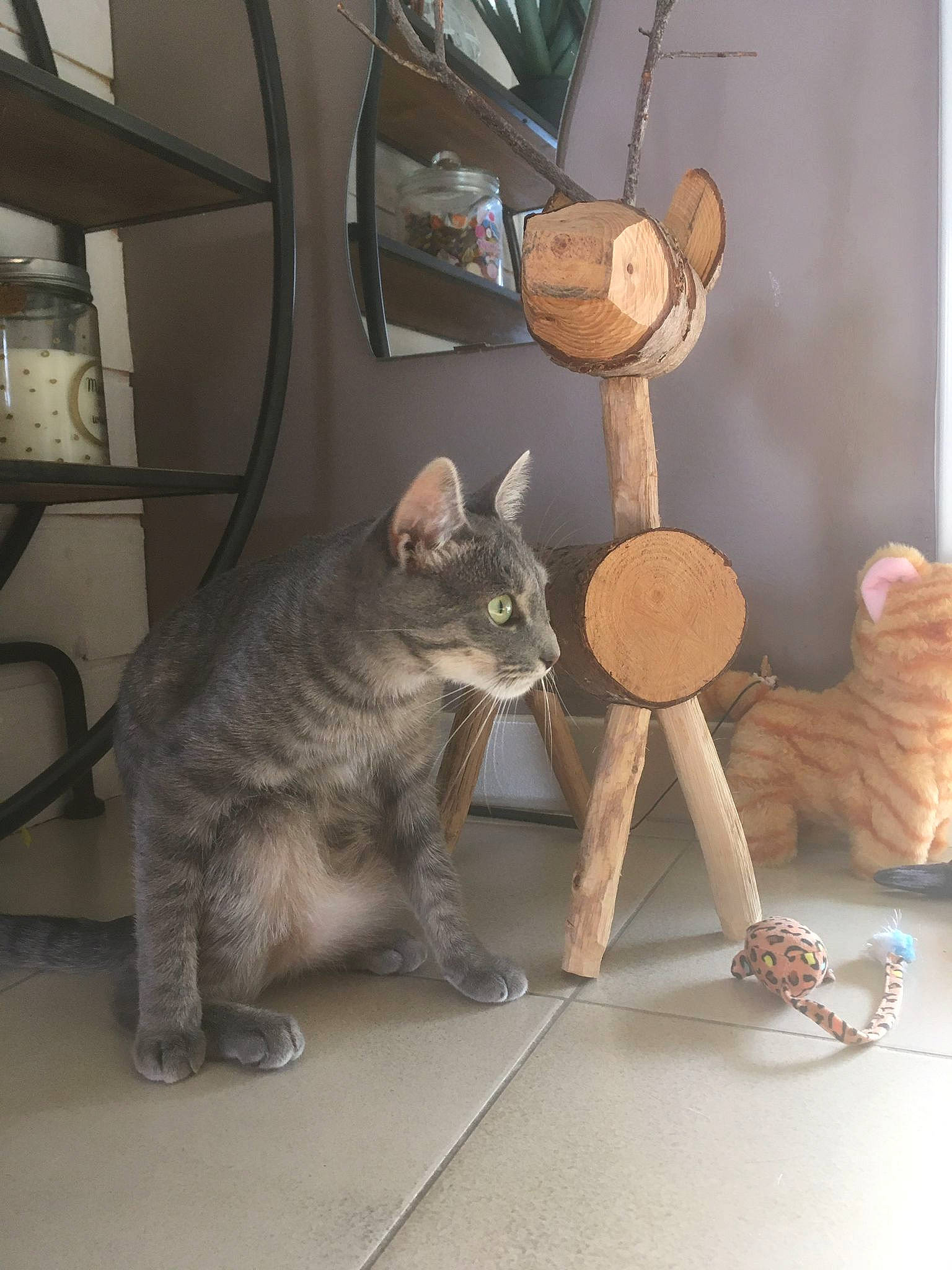 Romy a rejoint le concours — aidez-le/la à gagner de superbes lots ! art, carnivore, cat, cat_toy, domestic_short_haired_cat, fawn, felidae, fur, mammal, metal, paw, room, small_to_medium_sized_cats, tail, toy, whiskers, window, wood