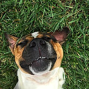 Pepper Ann is registered to the contest to win money with this photo: