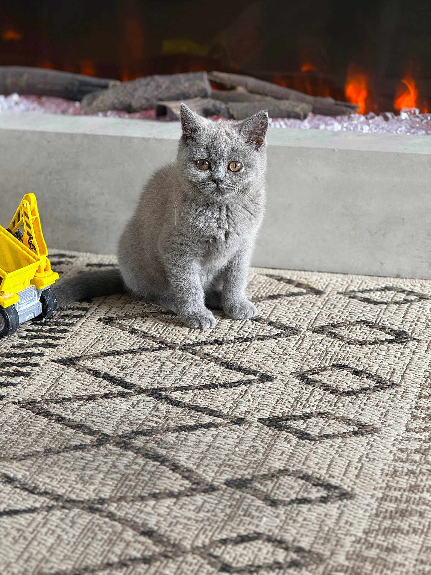 Gertrude