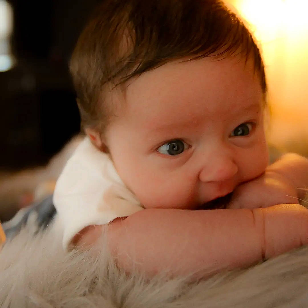 Koda is registered to the contest to win money with this photo: arm, baby, cheek, chin, comfort, ear, eye, eyebrow, eyelash, face, facial_expression, finger, flash_photography, gesture, happy, head, iris, lip, nose, person