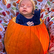 Rein is registered to the contest to win money with this photo: baby, pumpkin, autumn, fall, hat, blanket, leaves, pinecones, orange, cozy, child, sleeping, cute, seasonal, nature, portrait, fabric, holiday, festive, outdoor