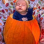 baby, pumpkin, autumn, fall, hat, blanket, leaves, pinecones, orange, cozy, child, sleeping, cute, seasonal, nature, portrait, fabric, holiday, festive, outdoor