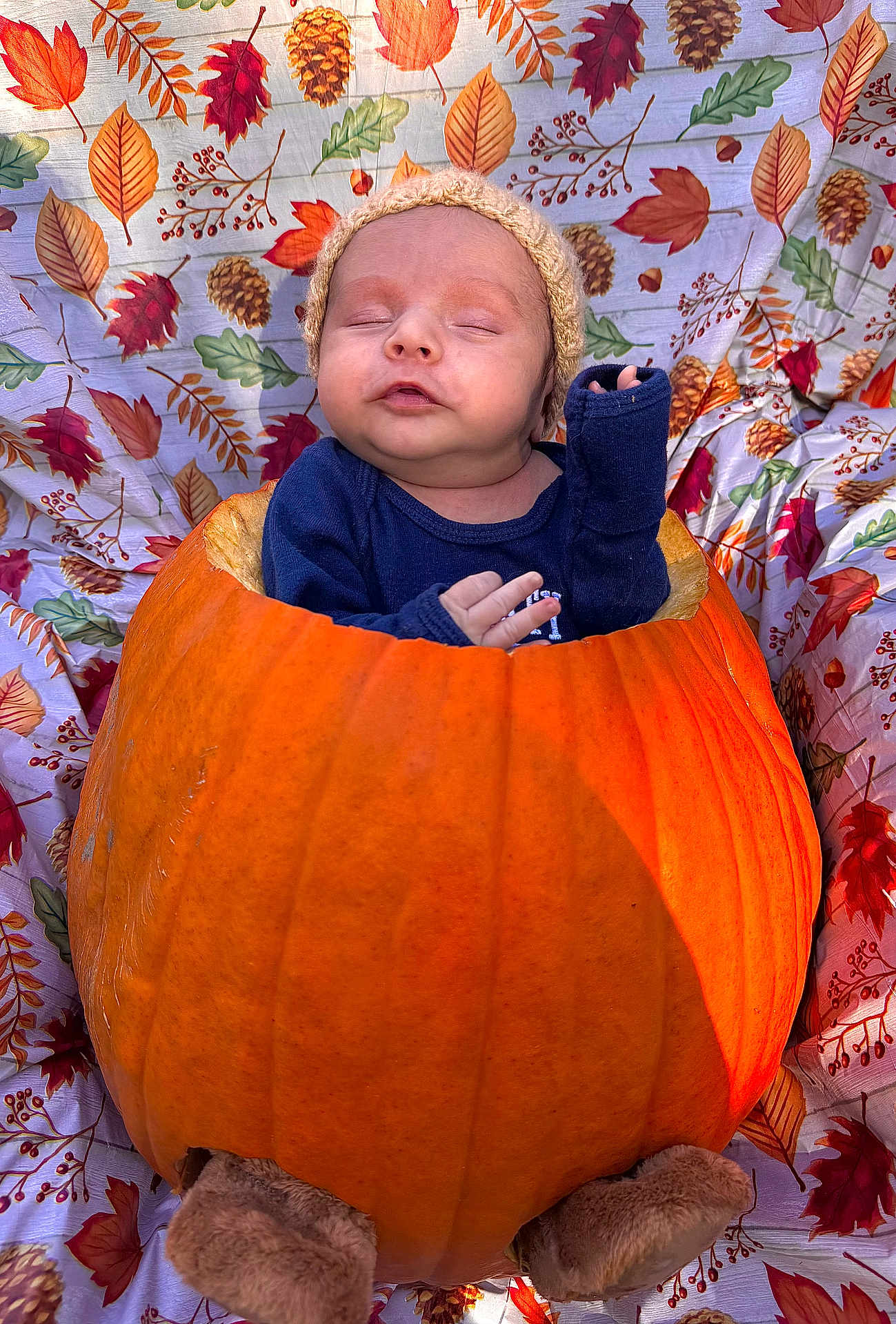 Rein is registered to the contest to win money with this photo: baby, pumpkin, autumn, fall, hat, blanket, leaves, pinecones, orange, cozy, child, sleeping, cute, seasonal, nature, portrait, fabric, holiday, festive, outdoor