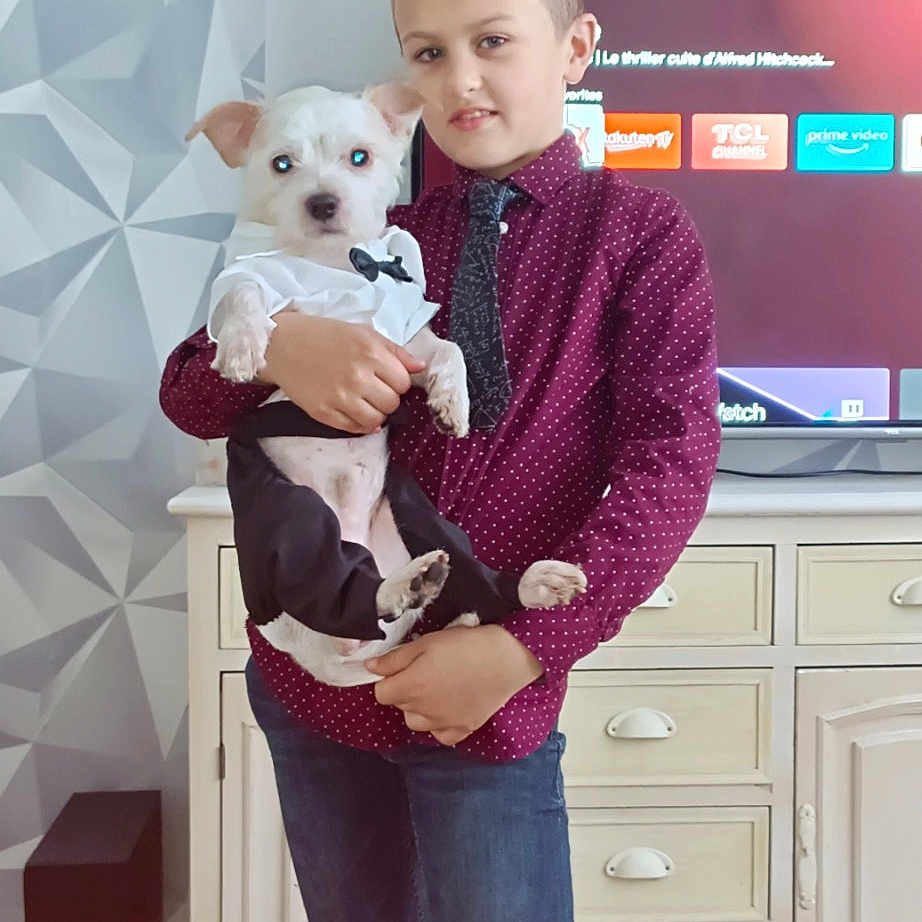Simba a rejoint le concours — aidez-le/la à gagner de superbes lots ! carnivore, child, clothing, companion_dog, dog_breed, fawn, gadget, happy, knee, pattern, pink, sleeve, smile, standing, t_shirt, television, television_set, thigh, waist, white