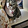 Mishu