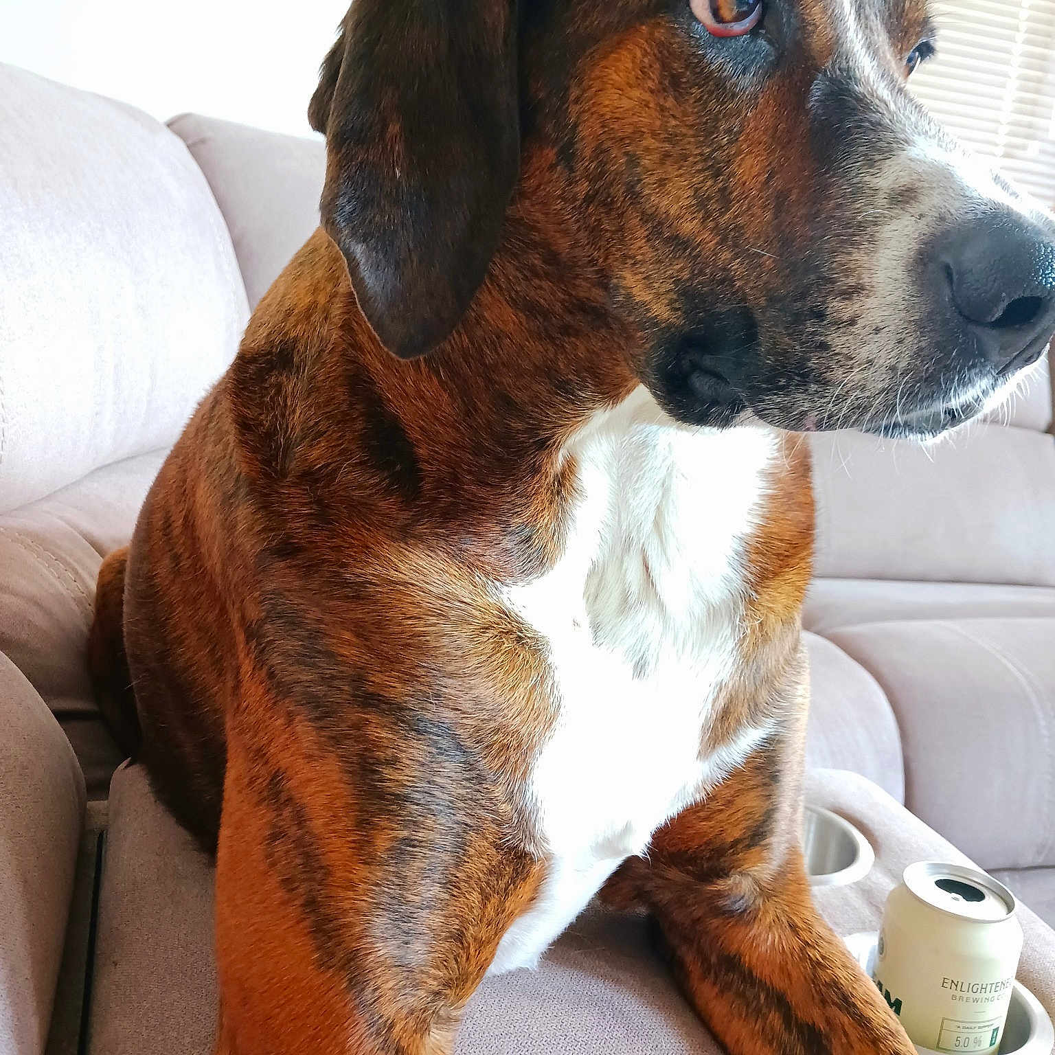 Duke