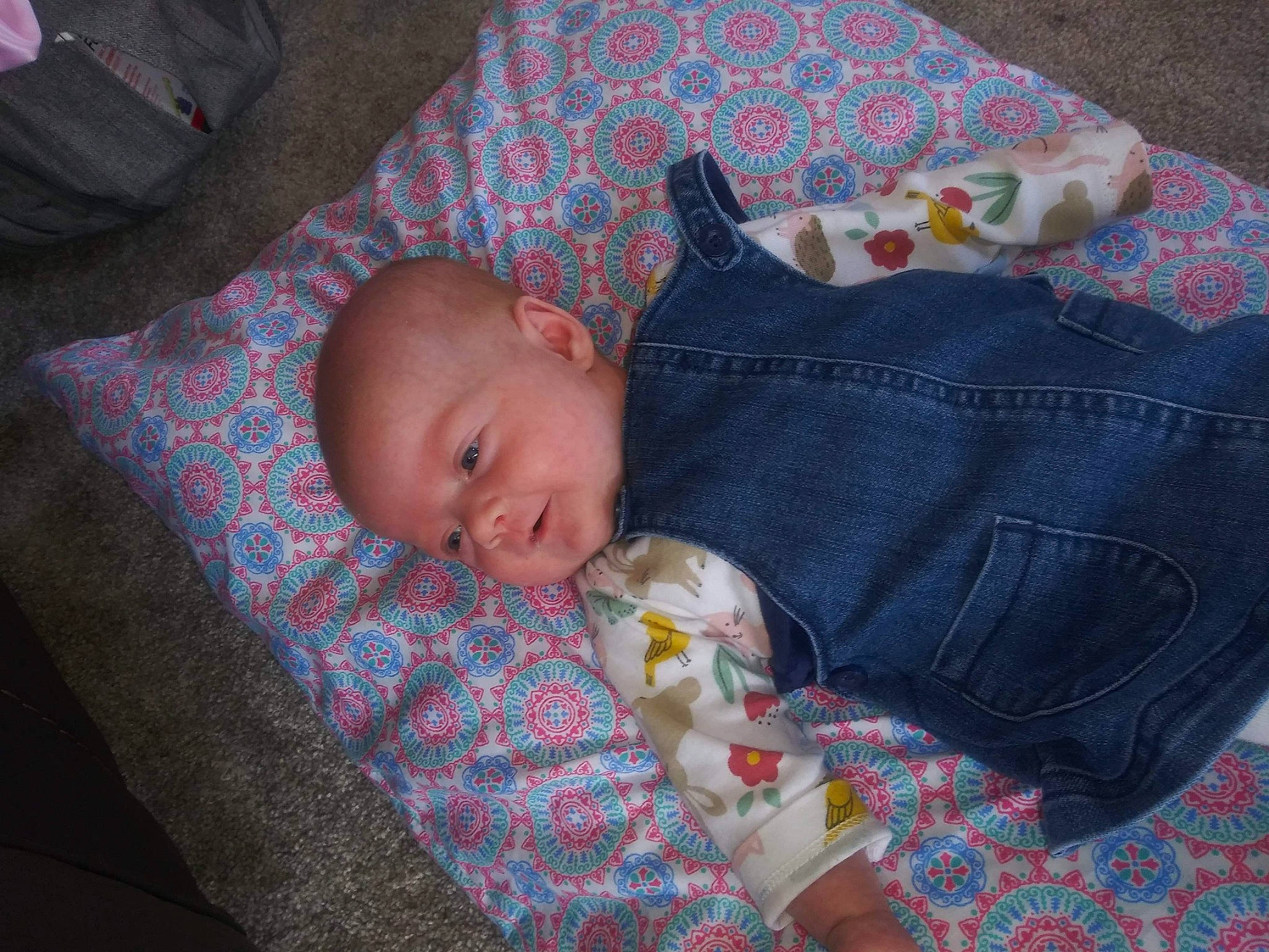 Izzy joined the competition — help win amazing prizes! baby, baby_products, baby_toddler_clothing, bedtime, brown, cheek, child, comfort, head, linens, nap, pattern, person, room, sitting, sleep, textile, toddler, tree, wood