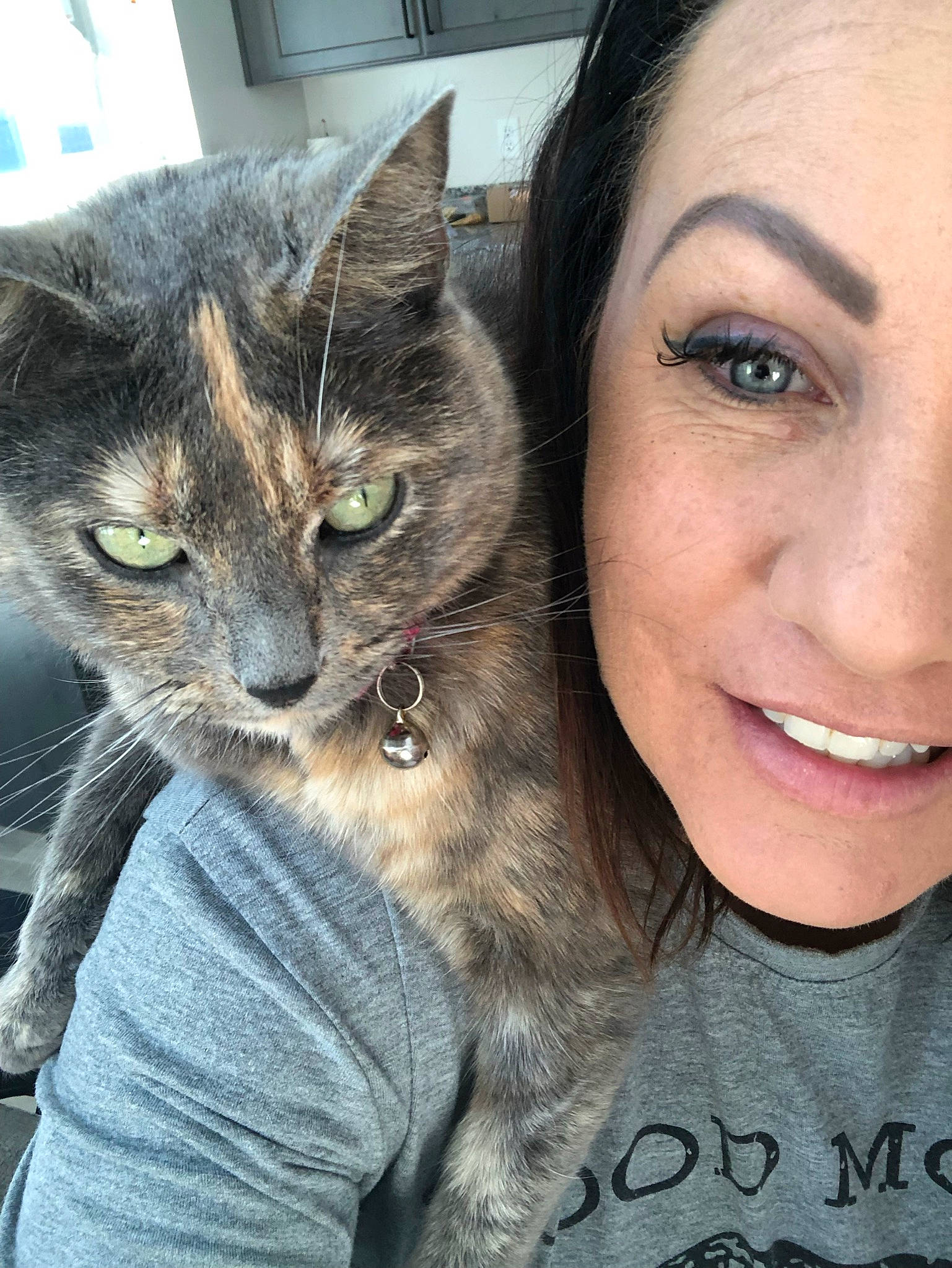 Avery is registered to the contest to win money with this photo: carnivore, cat, domestic_short_haired_cat, ear, eyelash, fawn, felidae, fur, happy, iris, lap, paw, selfie, sitting, skin, small_to_medium_sized_cats, smile, t_shirt, tree, whiskers