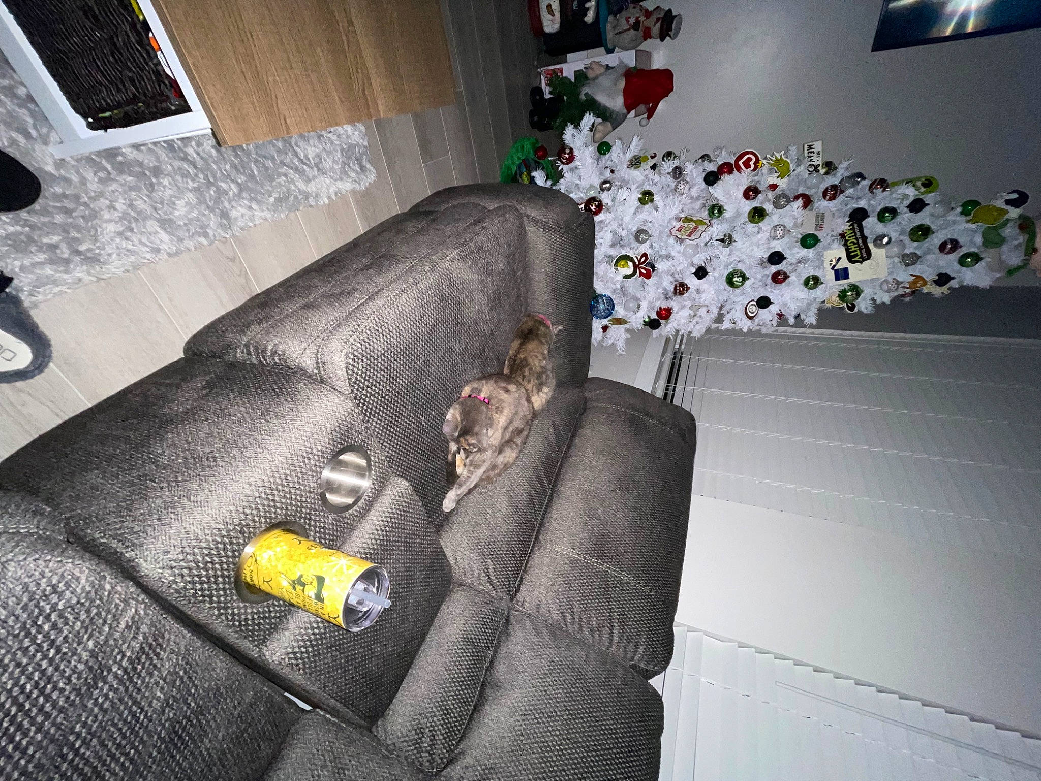 Avery is registered to the contest to win money with this photo: armrest, comfort, couch, curtain, event, floor, flooring, interior_design, lighting, living_room, pattern, room, sofa_bed, studio_couch, textile, tree, window