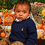 autumn, baby, background, child, clothing, cute, fall, hay_bale, leaf, nature, outdoor, pants, pillow, portrait, pumpkin, seasonal, serious, sitting, sweater, toddler