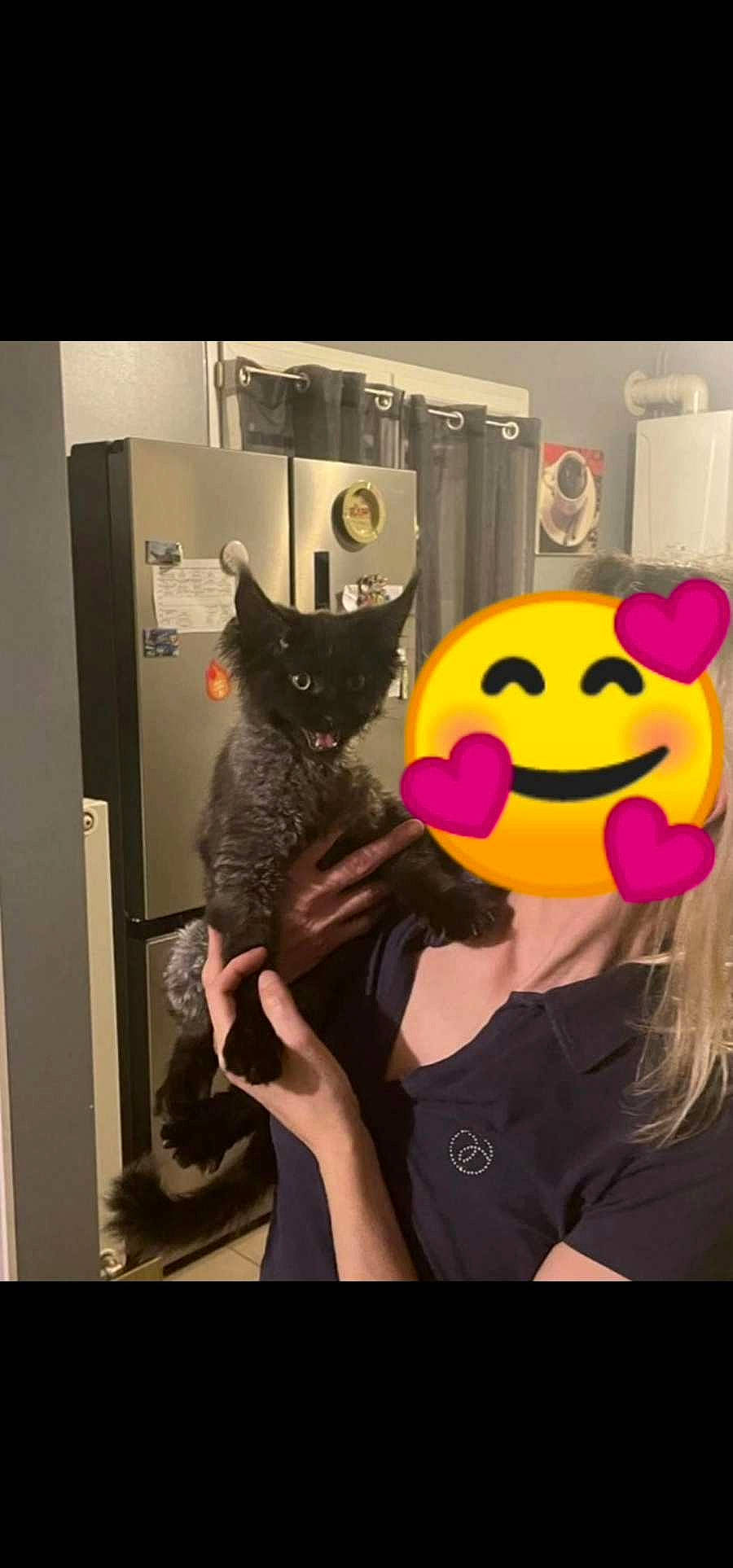 Bagherra participe au concours pour gagner de l'argent avec cette photo : black_hair, cat, costume, emoticon, eyewear, felidae, fur, gesture, happy, headgear, long_hair, moustache, selfie, sleeve, small_to_medium_sized_cats, smiley, stuffed_toy, t_shirt, toy, whiskers