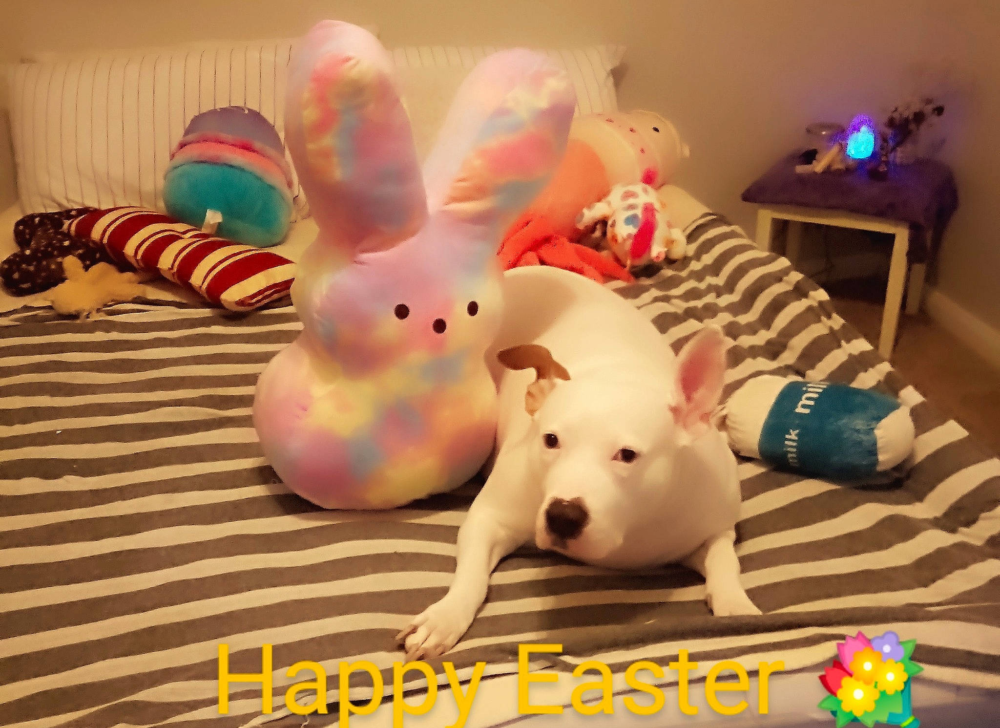 Kassiejoe joined the competition — help win amazing prizes! carmine, companion_dog, ear, easter_bunny, event, fawn, flooring, fun, fur, happy, mammal, pink, plush, rabbit, snout, stuffed_toy, suidae, textile, toy, vertebrate