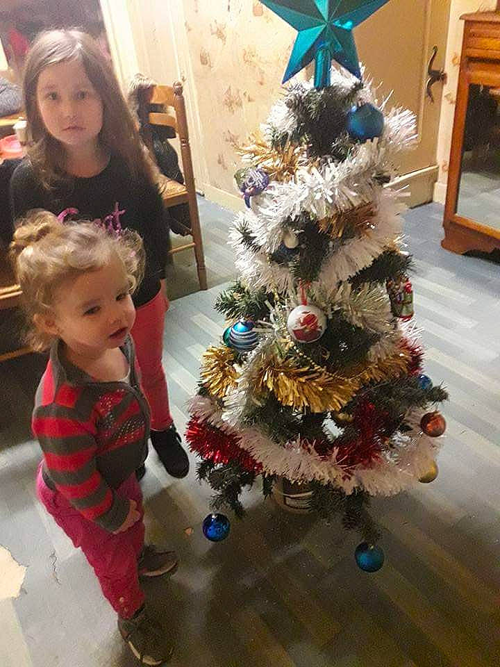 Paola participe au concours pour gagner de l'argent avec cette photo : christmas, christmas_decoration, christmas_ornament, christmas_tree, decor, event, holiday, person, tree