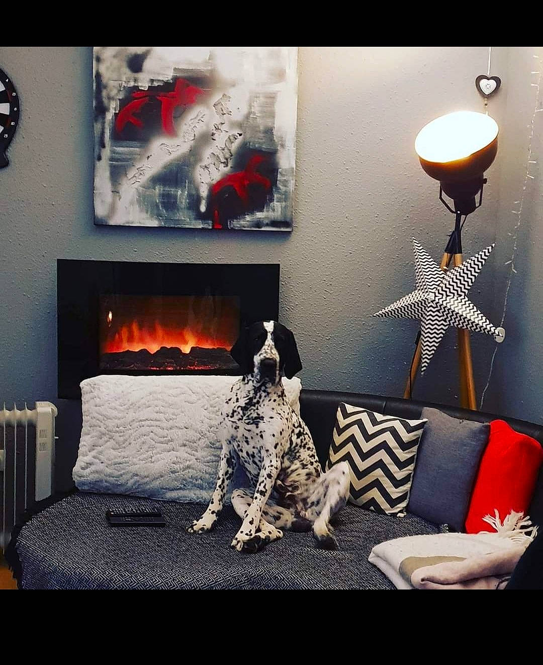 Merlin participe au concours pour gagner de l'argent avec cette photo : art, black, comfort, couch, floor, furniture, gas, grey, hearth, interior_design, living_room, material_property, pillow, rectangle, studio_couch, tints_and_shades, tree, wall, wood, wood_burning_stove