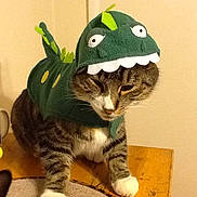 J. J. is registered to the contest to win money with this photo: animal, cat, costume, cute, dinosaur, domestic_cat, face, funny, fur, green_costume, indoor, looking_down, mug, paws, pet, sitting, tabby, table, white_wall, wooden_table