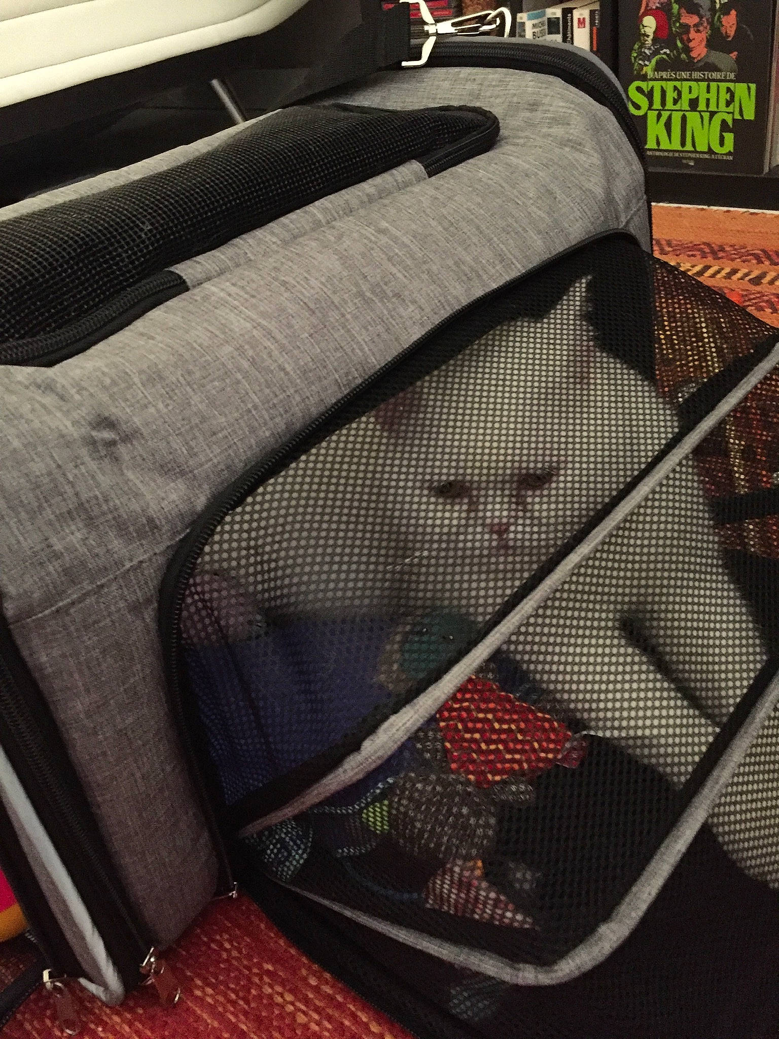 Piper a rejoint le concours — aidez-le/la à gagner de superbes lots ! auto_part, automotive_design, automotive_exterior, automotive_tire, bag, baggage, car_seat, carbon, chair, comfort, family_car, luggage_and_bags, mesh, metal, motor_vehicle, net, pattern, personal_luxury_car, trunk, vehicle_door