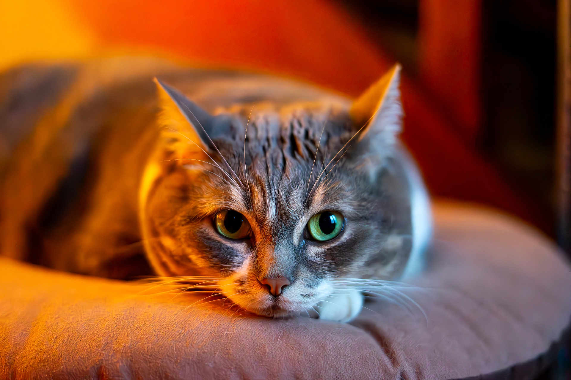 Louna