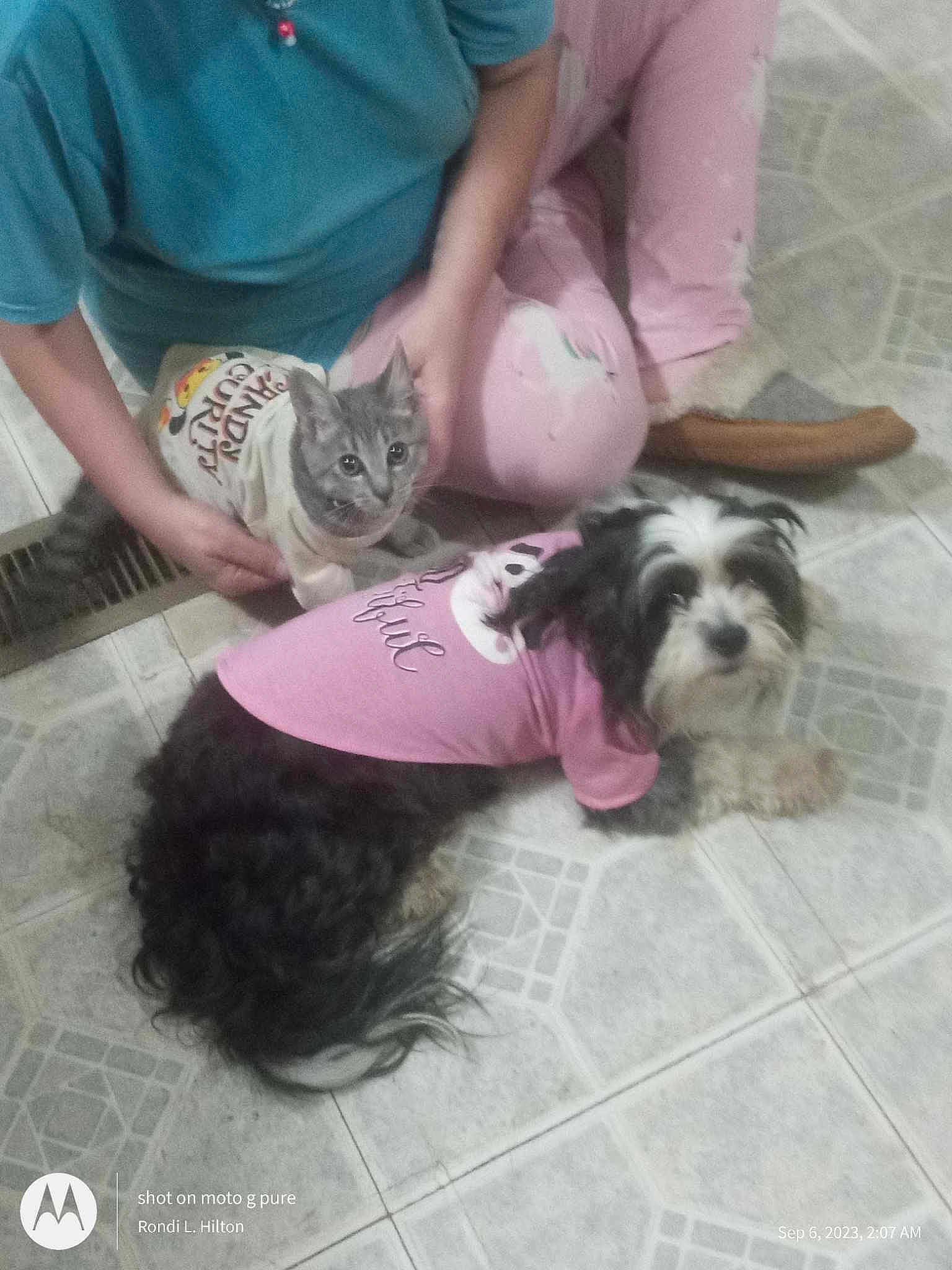 Gizmo