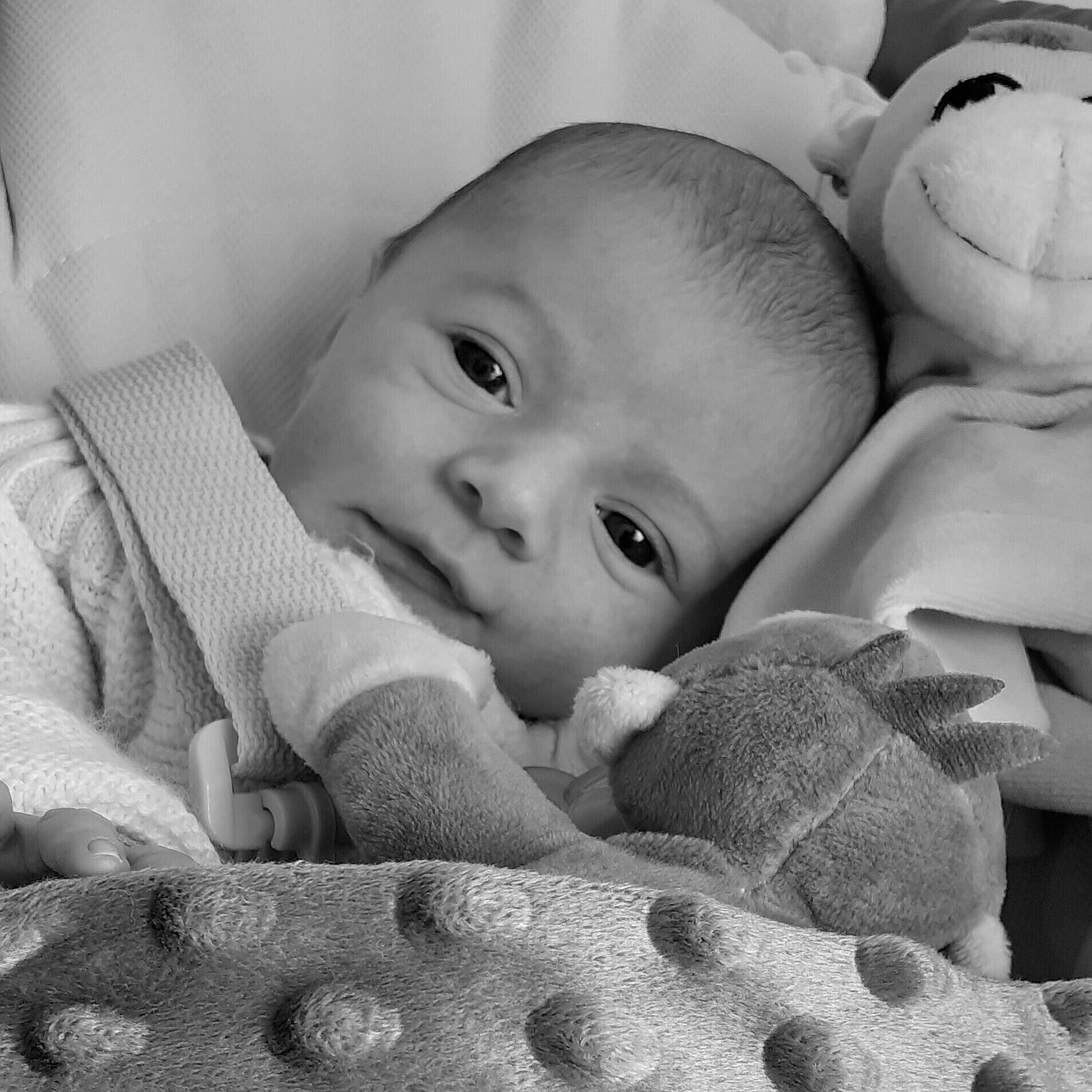 Maxime participe au concours pour gagner de l'argent avec cette photo : baby, baby_products, baby_toddler_clothing, baby_toys, cheek, child, comfort, linens, person, plush, product, skin, stuffed_toy, sweater, toddler, toy, wool