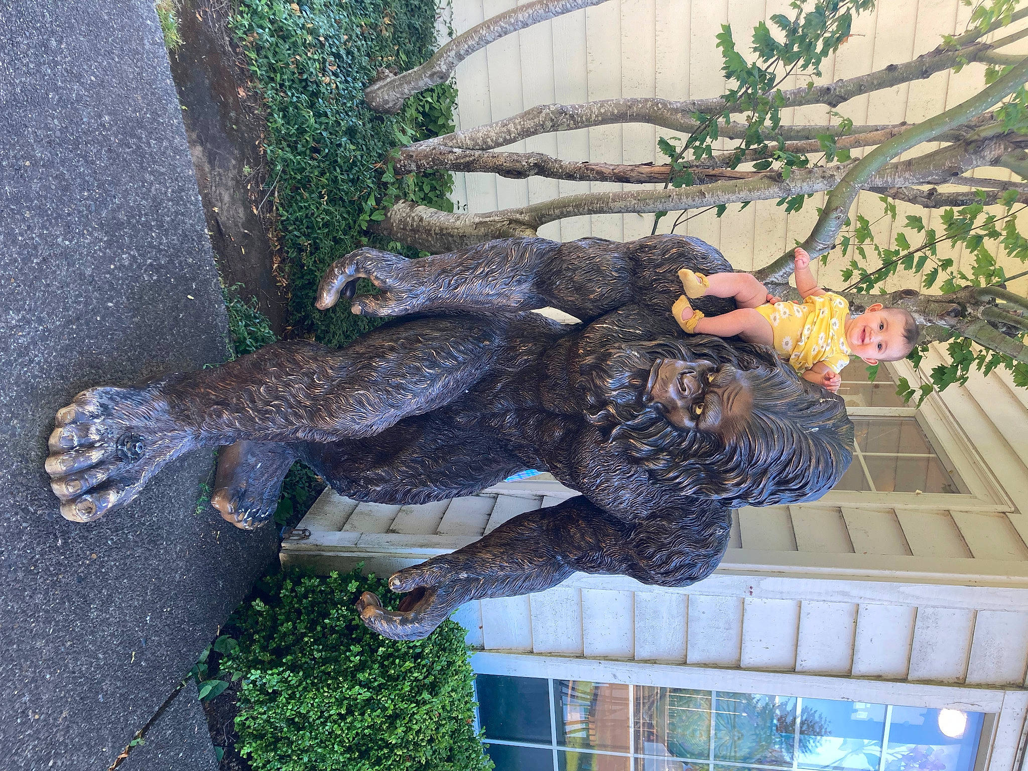 Mia joined the competition — help win amazing prizes! fun, garden, grass, joy, leisure, organism, person, plant, tail, tree