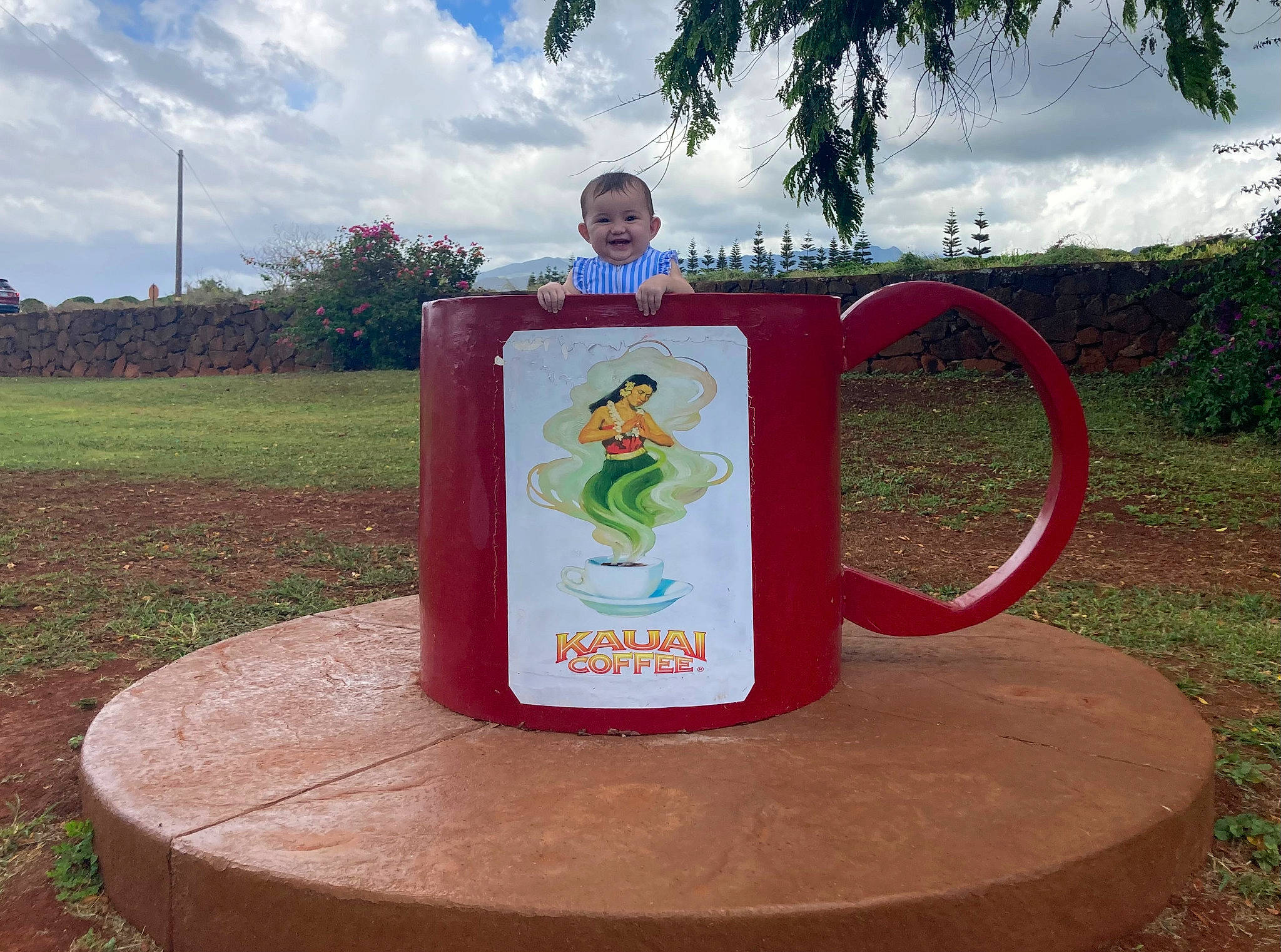 Mia joined the competition — help win amazing prizes! art, cloud, cylinder, drink, drinkware, font, gas, grass, happy, human_body, joy, landscape, mug, person, plant, serveware, signage, sky, smile, tableware