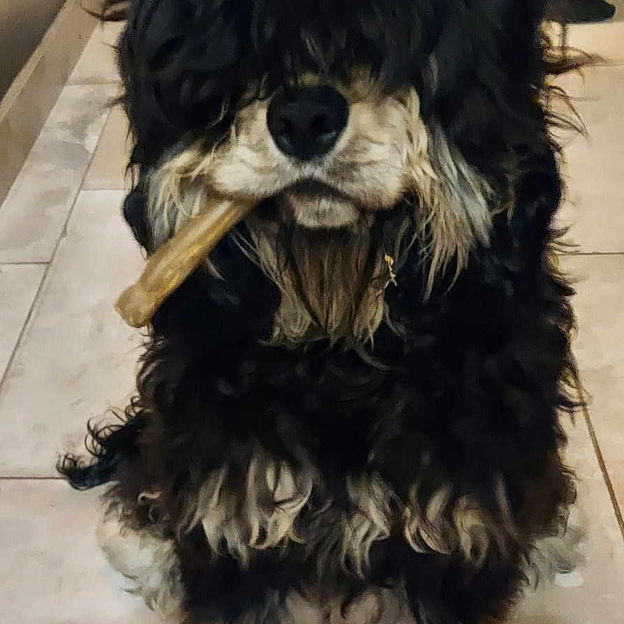 Athos