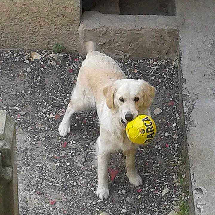 Havane a rejoint le concours — aidez-le/la à gagner de superbes lots !