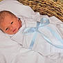 newborn, baby, infant, wrapped, blanket, blue_ribbon, basket, woven, cozy, resting, sleepy, cute, soft, white, portrait, child, infancy, peaceful, baby_boy, newborn_baby