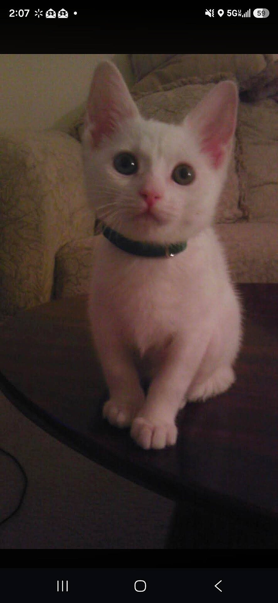 Mika